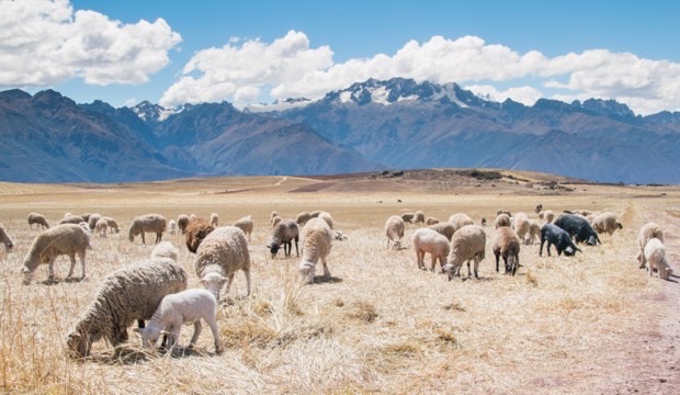Peru